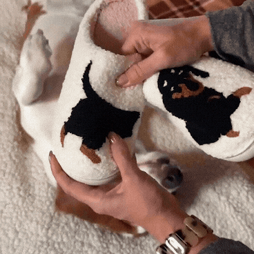 Pantoufles Doux Canidé